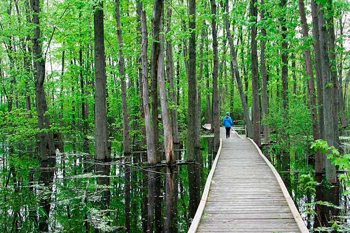 ANO-ESCOLAR-EN-CANADA-UPPER-GRAND