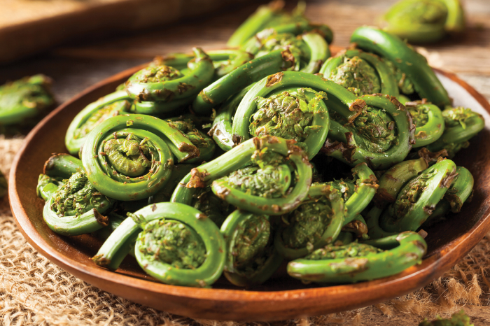 comida tipica fiddleheads