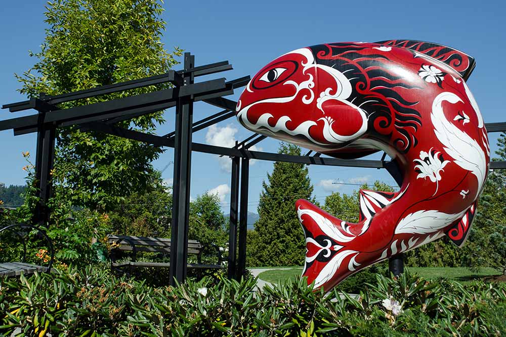 coquitlam-125-salmon-project-2