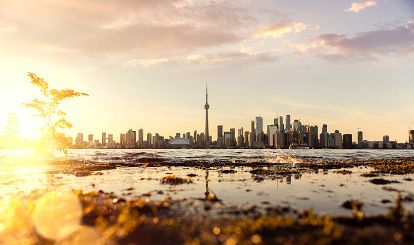 estudiar y trabajar en toronto ontario